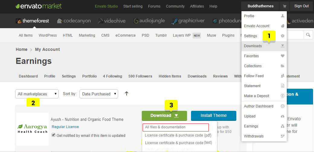 download theme files